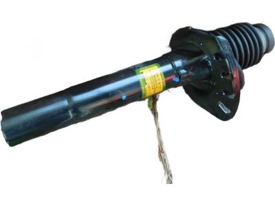 YF1Z-18124-CB Ford Shock Absorber Assembly, Passenger Side Product Photo 1 of 5