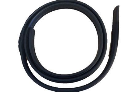 Ford 3C3Z-2520708-AA Weatherstrip