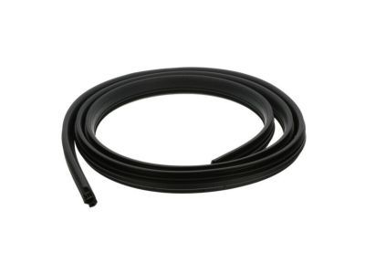 Ford 3C3Z-2520708-AA Weatherstrip