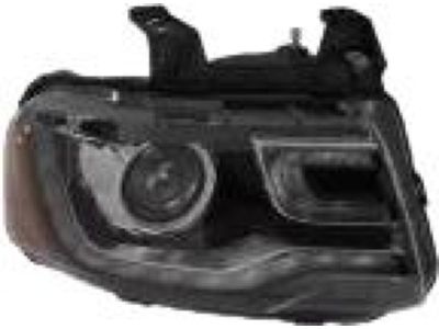 Ford FL7Z-13008-E Lamp Assembly, Passenger Side