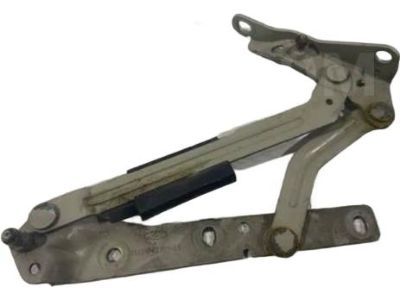 Ford YS4Z-5442701-AA Hinge - Luggage Compartment Door, Driver Side
