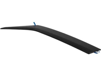 DT1Z-1720938-AA Ford Moulding - Door Outside, Passenger Side Product Photo 4 of 5