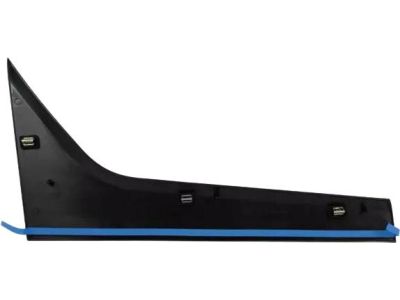 DT1Z-1720938-AA Ford Moulding - Door Outside, Passenger Side Product Photo 2 of 5