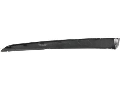 Ford CP9Z-17626-A Lower Molding