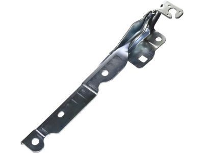 Ford BC3Z-16796-A Hinge, Front Passenger Side