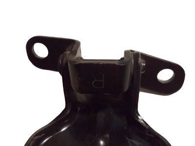 Ford F1CZ-5822811-A Hinge, Driver Side