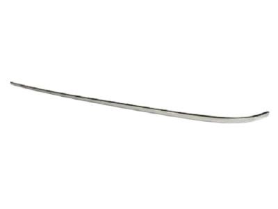 Ford 8A8Z-74423A18-AA Belt Molding, Black, Rear Passenger Side
