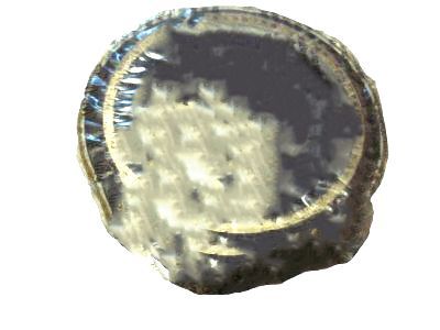 Ford C7TZ-1244-A Axle Bearings