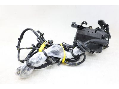 Ford HL3Z-12A581-AAH Wire Assembly