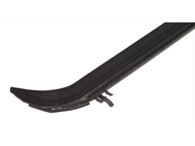 Ford F2TZ-1521456-A Belt Weatherstrip, Passenger Side