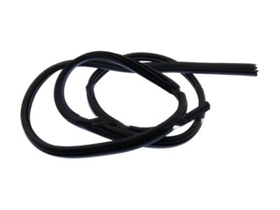2018 Ford Escape Door Seal - CJ5Z-78253A10-B