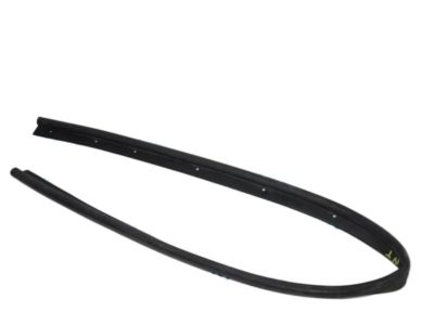 Lincoln EJ7Z-16B990-A Front Weatherstrip