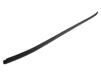 Ford EG1Z-5451729-A Moulding - Roof Side Trim, Driver Side