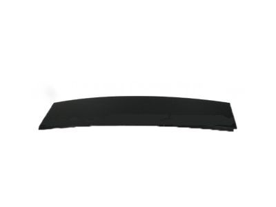 2005 Ford F-150 Door Moldings - 5L3Z-18255A35-AAA