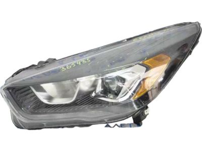 Ford GJ5Z-13008-M Lamp Assembly, Driver Side