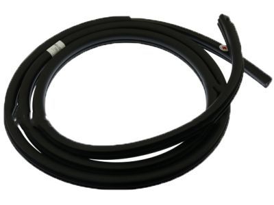 2014 Ford F-150 Door Seal - BL3Z-1520709-B