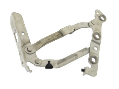 Ford AG1Z-5442701-A Hinge Assembly, Driver Side