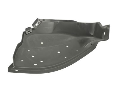 Ford F7UZ-16054-AG Apron Assembly - Front Fender, Passenger Side
