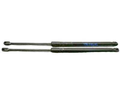 Mercury 6L2Z-7842105-AA Lift Assy - Gas