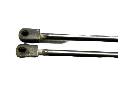 Mercury 6L2Z-7842105-AA Lift Assy - Gas