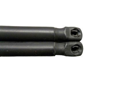 Mercury 6L2Z-7842105-AA Lift Assy - Gas