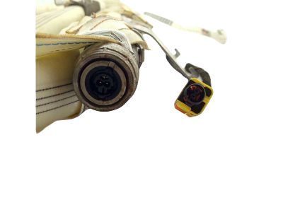 Ford GD9Z-54042D95-A Curtain Assembly, Driver Side