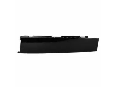 Ford FT4Z-58255A34-A Moulding, Passenger Side