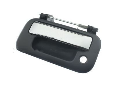 Ford 8L3Z-9943400-DM Handle