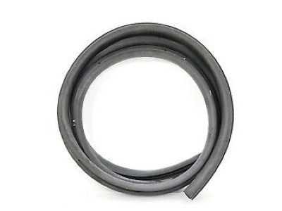 2007 Ford Focus Door Seal - 2M5Z-54253A10-BA