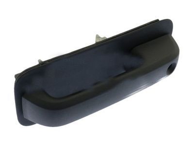 Ford FL3Z-1522404-BG Handle Assy - Door - Outer