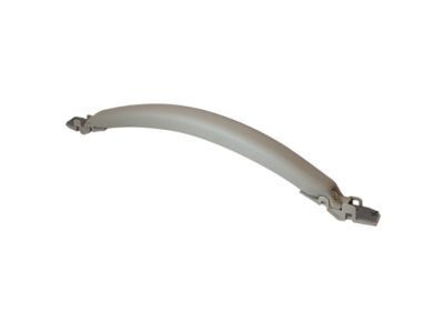 Ford 3W1Z-5422666-AAC Pull Handle