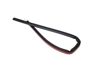 Ford 5L3Z-16253A40-AA Door Weatherstrip, Rear