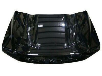 Ford HC3Z-16612-A Hood Assy