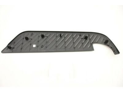 Ford XL3Z-17B807-AA Step Pad, Rear Upper Passenger Side