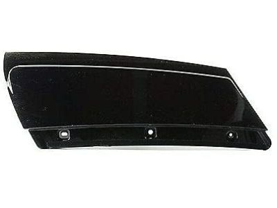 Ford FB5Z-78290A60-AA Upper Molding, Passenger Side