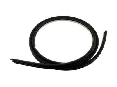 2012 Lincoln MKX Door Seal - DA1Z-7820708-AA