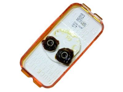 Ford EOTZ-15442-B Side Marker Lamp, Amber