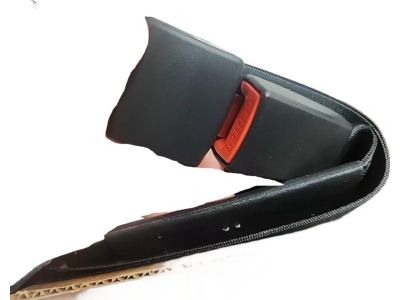 Ford 2C3Z-25611B60-CAA Belt And Buckle Assembly