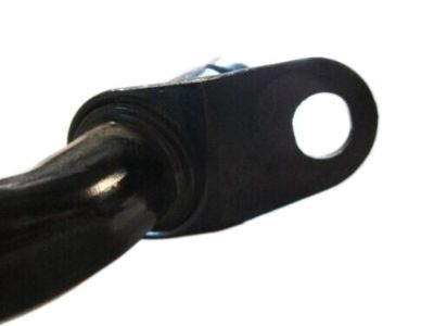 Ford GL1Z-78613A96-AA Side Cover