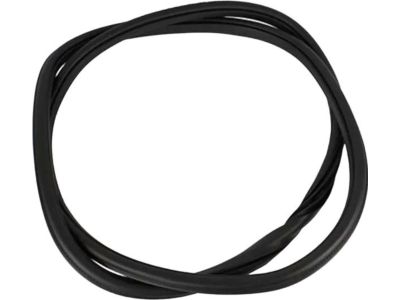 Ford HL3Z-16253A11-A Weatherstrip Assembly - Door Opening, Driver Side