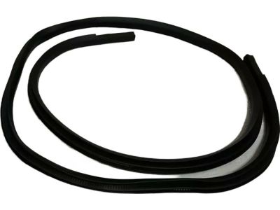 Ford HL3Z-16253A11-A Weatherstrip Assembly - Door Opening, Driver Side