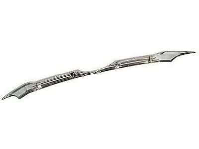 Ford BT4Z-8200-D Center Molding