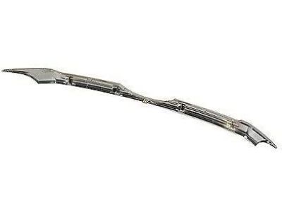 Ford BT4Z-8200-D Center Molding