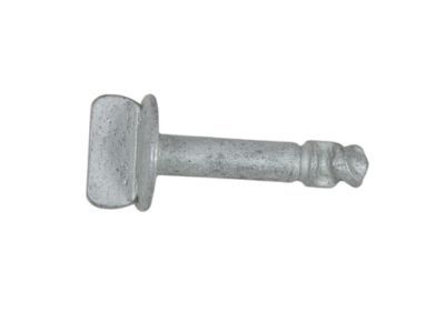Lincoln AG1Z-00817-A Under Cover Screw