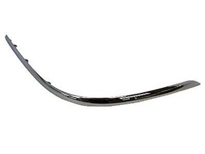 Ford 3W1Z-17C829-AA Cover Molding, Front Passenger Side, Rubber