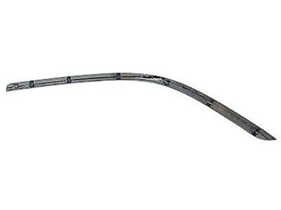 Ford 3W1Z-17C829-AA Cover Molding, Front Passenger Side, Rubber
