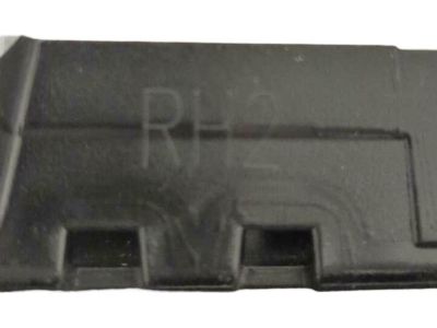 Ford DP5Z-54255A34-AA Moulding - Door Window Frame, Passenger Side