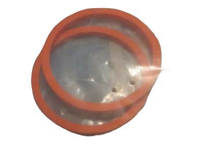 Mercury F2VY-7B497-A Seal