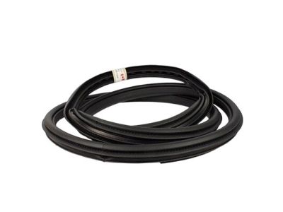 Ford FL3Z-16253A11-A Weatherstrip Assy - Door Opening