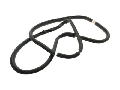Ford FL3Z-16253A11-A Weatherstrip Assy - Door Opening